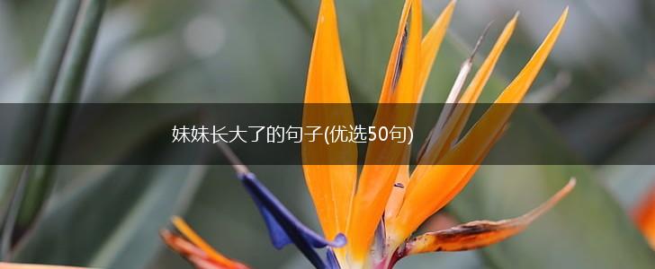 妹妹长大了的句子(优选50句),第1张