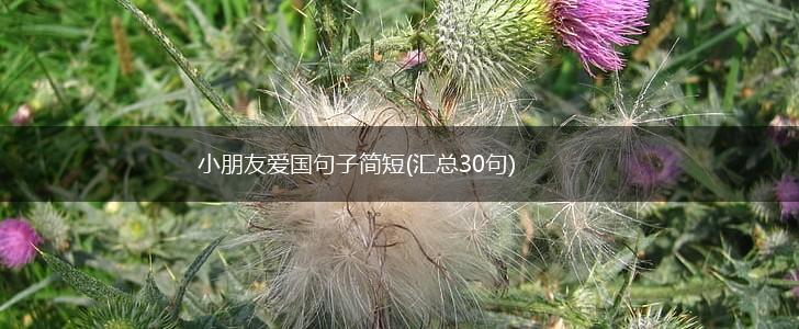 小朋友爱国句子简短(汇总30句),第1张
