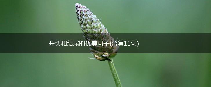 开头和结尾的优美句子(合集11句),第1张