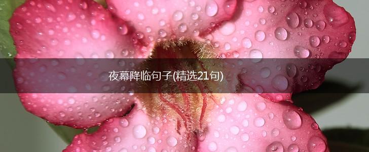 夜幕降临句子(精选21句),第1张