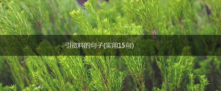 引资料的句子(实用15句),第1张