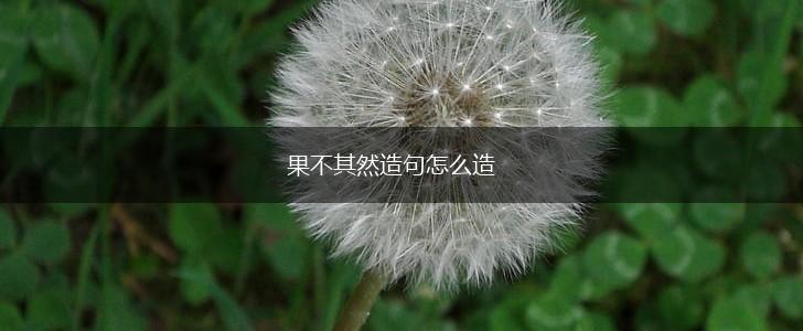 果不其然造句怎么造,第1张 果不其然造句怎么造,第1张