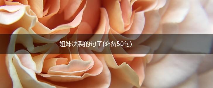 姐妹决裂的句子(必备50句),第1张