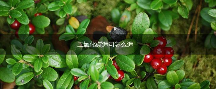二氧化碳造句怎么造,第1张 二氧化碳造句怎么造,第1张