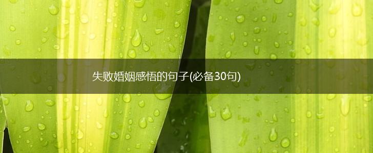 失败婚姻感悟的句子(必备30句),第1张