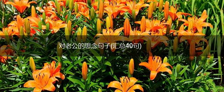 对老公的思念句子(汇总40句),第1张