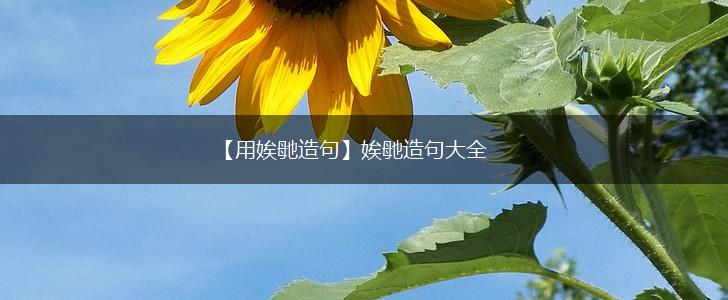 【用娭毑造句】娭毑造句大全,第1张