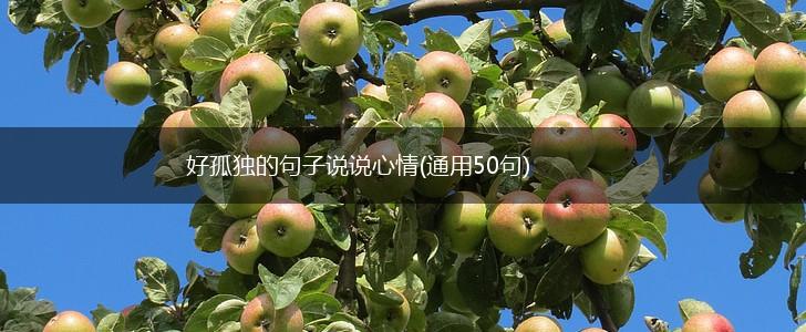 好孤独的句子说说心情(通用50句),第1张