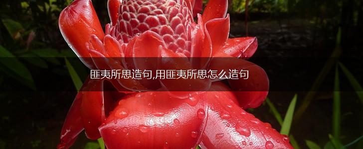 匪夷所思造句,用匪夷所思怎么造句,第1张 匪夷所思造句,用匪夷所思怎么造句,第1张