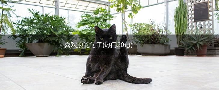 喜欢浪的句子(热门20句),第1张