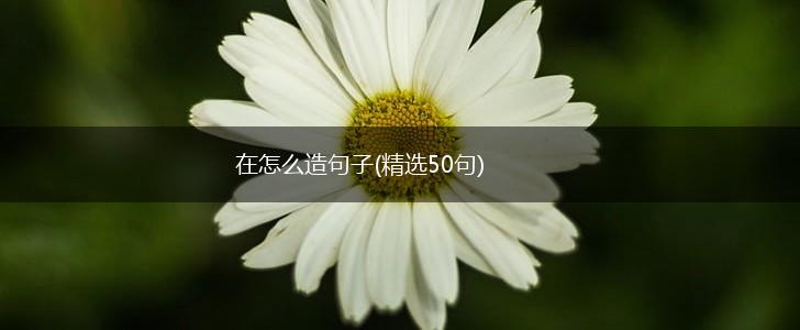 在怎么造句子(精选50句),第1张