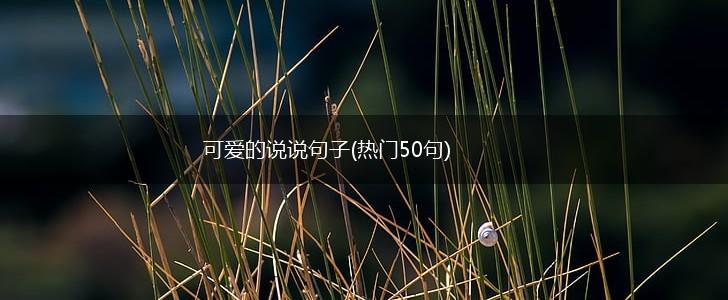 可爱的说说句子(热门50句),第1张