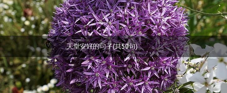 天堂安好的句子(共50句),第1张