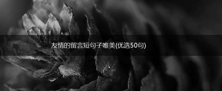友情的留言短句子唯美(优选50句),第1张