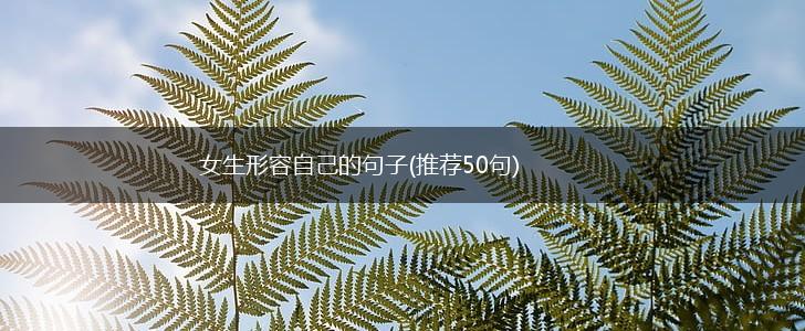 女生形容自己的句子(推荐50句),第1张