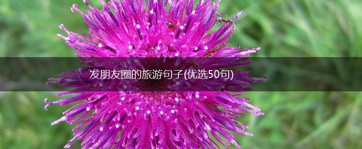 发朋友圈的旅游句子(优选50句),第1张