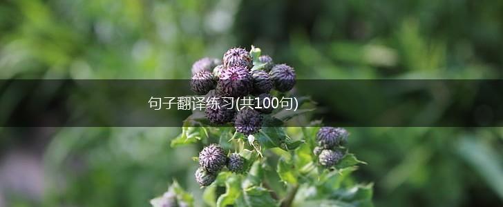 句子翻译练习(共100句),第1张