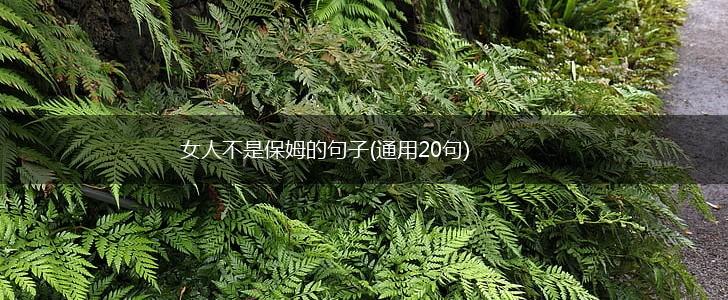 女人不是保姆的句子(通用20句),第1张