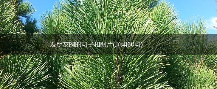 发朋友圈的句子和图片(通用60句),第1张