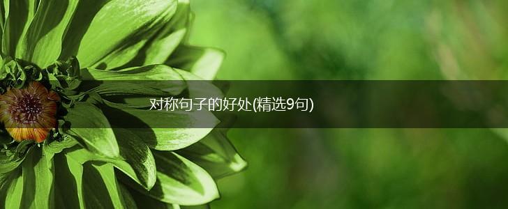 对称句子的好处(精选9句),第1张