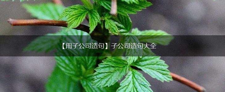 【用子公司造句】子公司造句大全,第1张