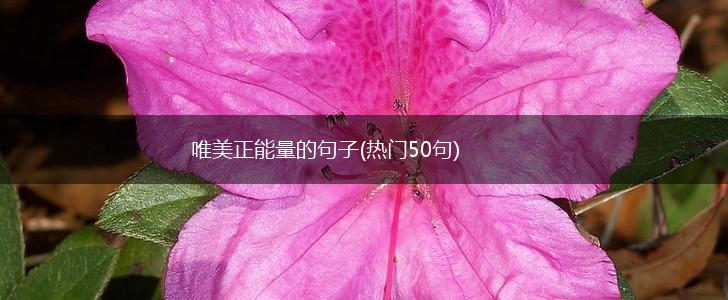 唯美正能量的句子(热门50句),第1张