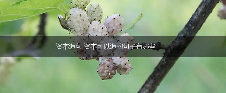 资本造句 资本可以造的句子有哪些,第1张