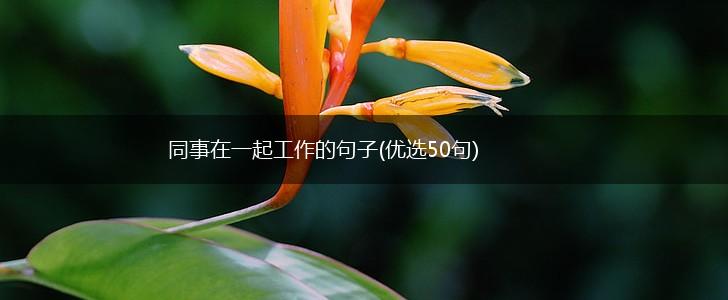 同事在一起工作的句子(优选50句),第1张