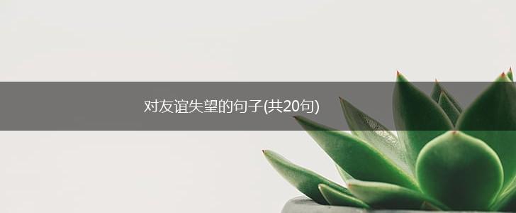 对友谊失望的句子(共20句),第1张