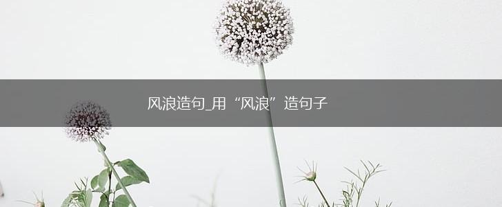 风浪造句_用“风浪”造句子,第1张 风浪造句_用“风浪”造句子,第1张