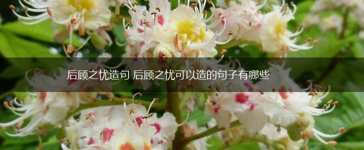 后顾之忧造句 后顾之忧可以造的句子有哪些,第1张 后顾之忧造句 后顾之忧可以造的句子有哪些,第1张