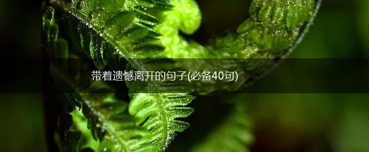 带着遗憾离开的句子(必备40句),第1张