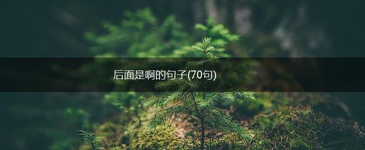 后面是啊的句子(70句),第1张