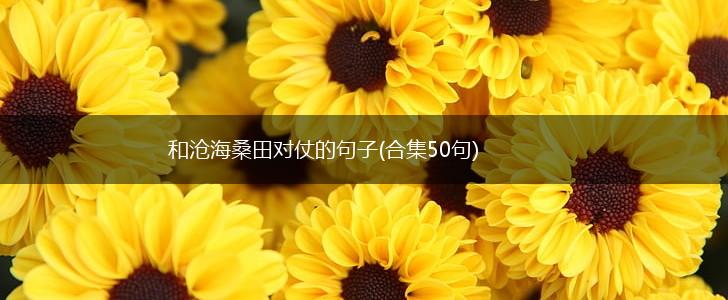 和沧海桑田对仗的句子(合集50句),第1张