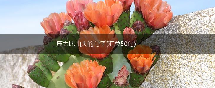 压力比山大的句子(汇总50句),第1张