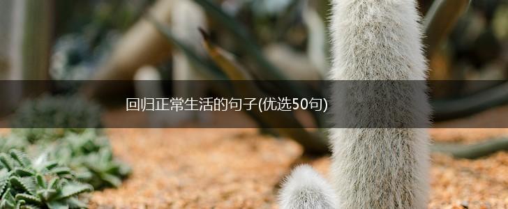回归正常生活的句子(优选50句),第1张