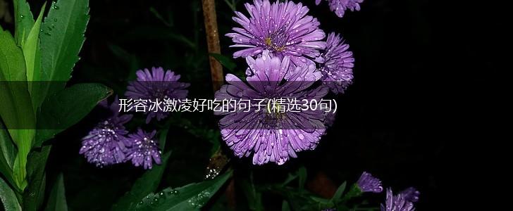 形容冰激凌好吃的句子(精选30句),第1张