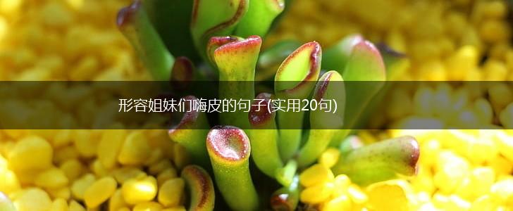 形容姐妹们嗨皮的句子(实用20句),第1张