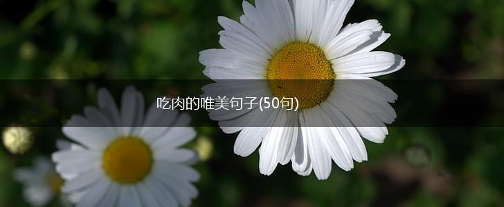 吃肉的唯美句子(50句),第1张