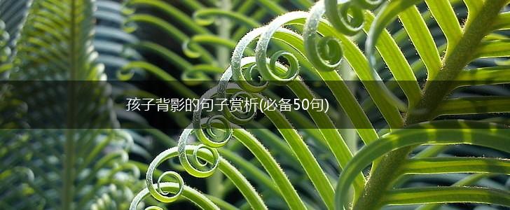 孩子背影的句子赏析(必备50句),第1张