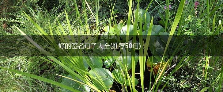 好的签名句子大全(推荐50句),第1张