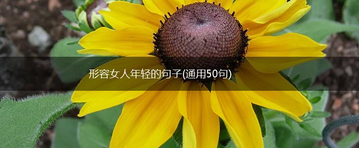 形容女人年轻的句子(通用50句),第1张