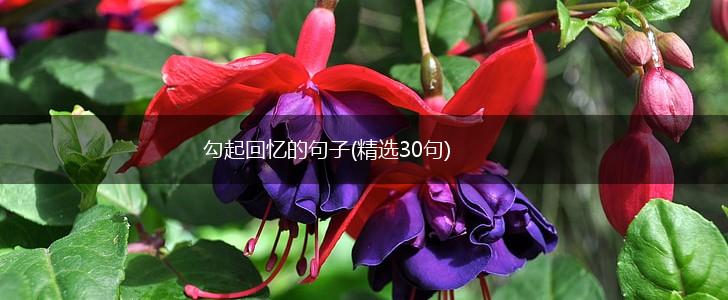 勾起回忆的句子(精选30句),第1张