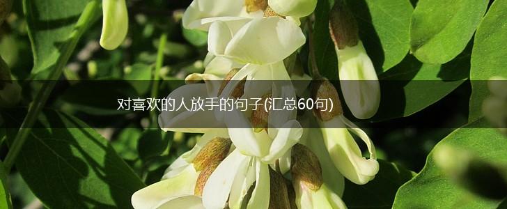对喜欢的人放手的句子(汇总60句),第1张