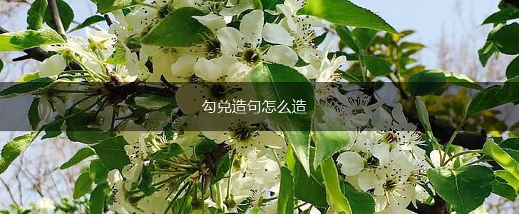 勾兑造句怎么造,第1张 勾兑造句怎么造,第1张