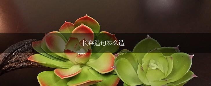 长存造句怎么造,第1张