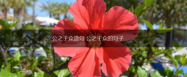 公之于众造句 公之于众的句子,第1张 公之于众造句 公之于众的句子,第1张