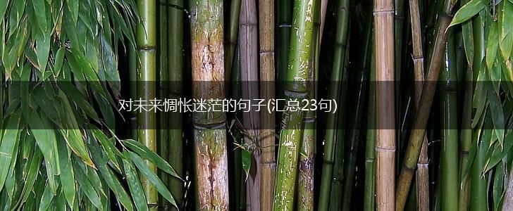 对未来惆怅迷茫的句子(汇总23句),第1张