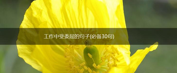工作中受委屈的句子(必备30句),第1张