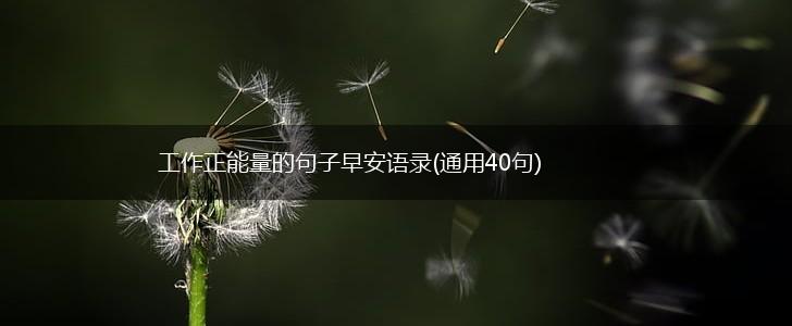 工作正能量的句子早安语录(通用40句),第1张
